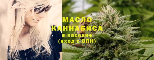 дмт Осташков