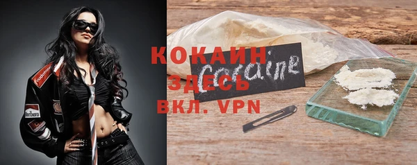 дмт Осташков