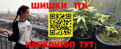 герыч Гатчина