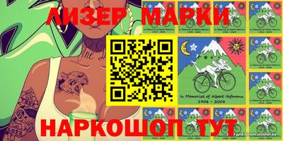 прущие грибы Абакан