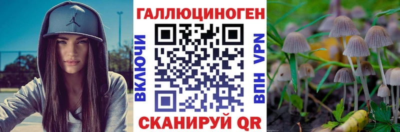 гидра tor  Анжеро-Судженск  Галлюциногенные грибы мицелий  купить наркотики сайты 