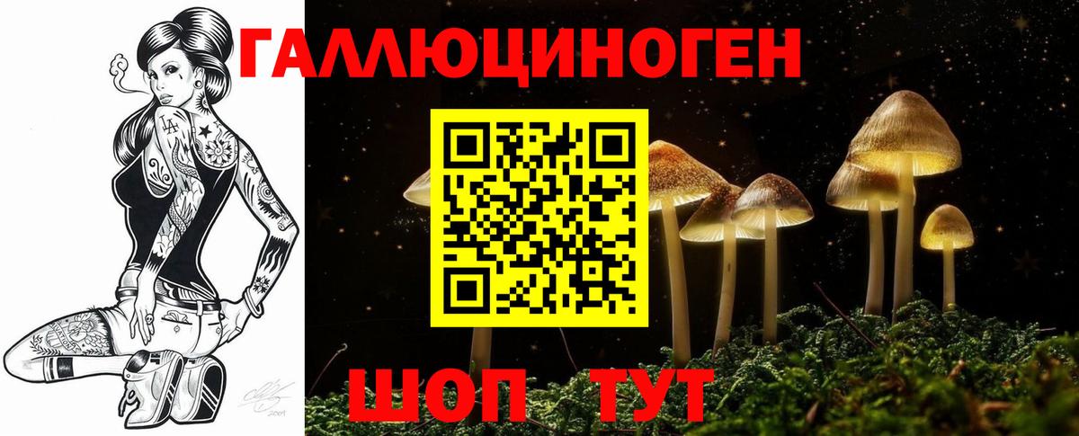 Псилоцибиновые грибы Psilocybine cubensis  Вход с VPN  Анжеро-Судженск 