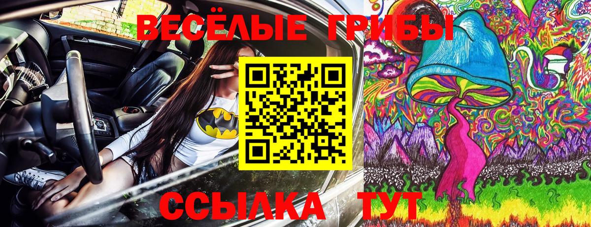 Галлюциногенные грибы прущие грибы  Анжеро-Судженск  Псилоцибиновые грибы мицелий 