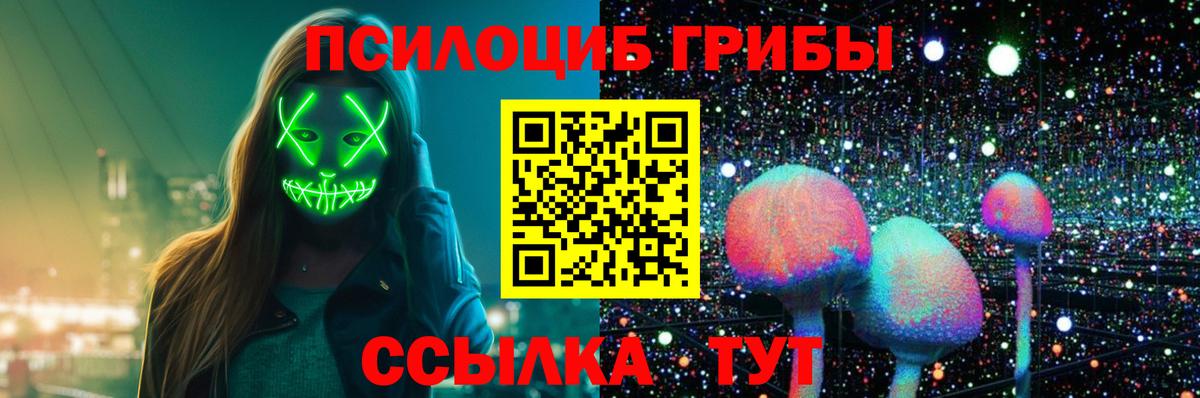 Галлюциногенные грибы Cubensis Анжеро-Судженск