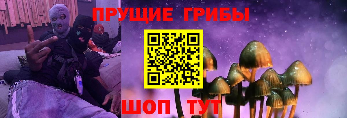 Анжеро-Судженск  Псилоцибиновые грибы Cubensis  Вход с VPN 